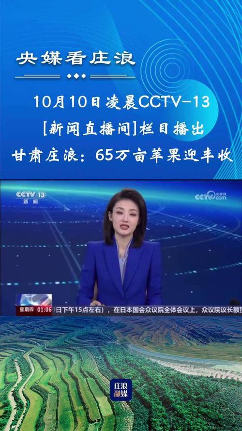 夜半晚报app直播专区缩略图