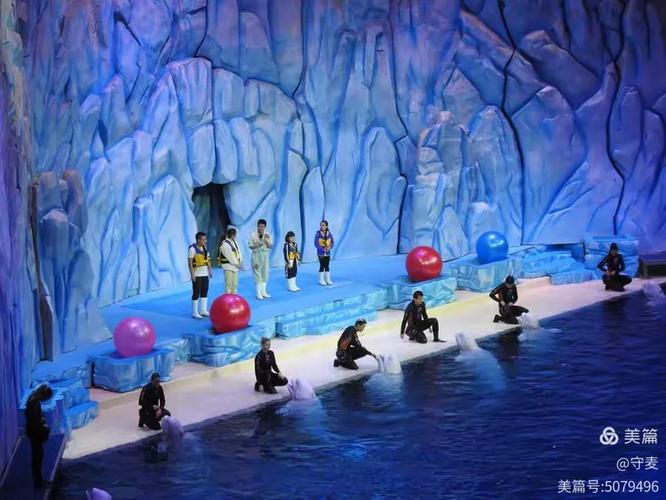 海豚三年级阅读答案缩略图