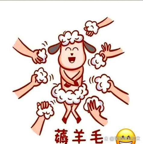 羊毛党啥意思缩略图
