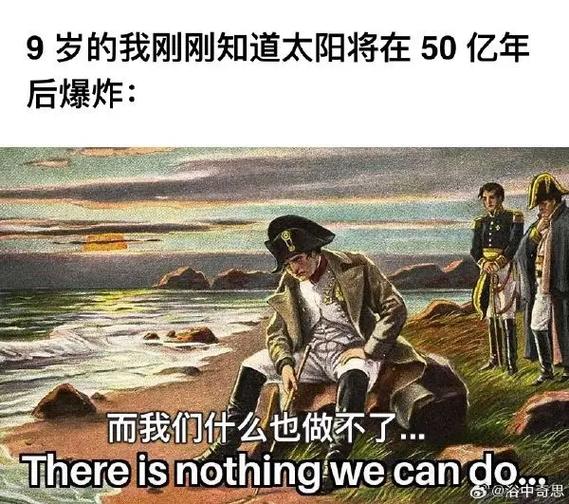 meme是什么平台缩略图