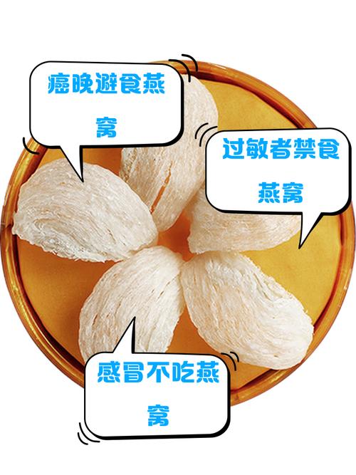 六种人不宜吃燕窝游戏截图