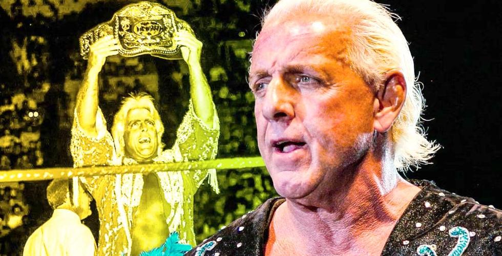 wwe摔跤游戏手机版缩略图