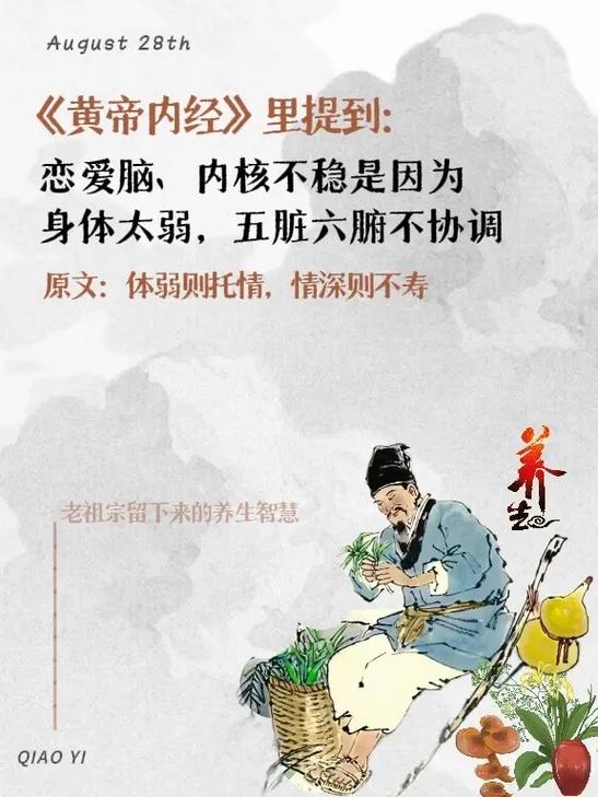 中医四象理论缩略图