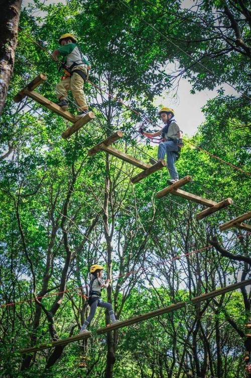 丛林探险冒险森林游戏截图