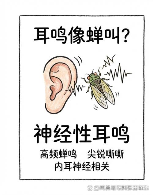 像蝉叫的耳鸣属于哪种耳鸣缩略图