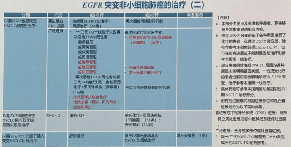 肺部肿瘤治疗方法缩略图