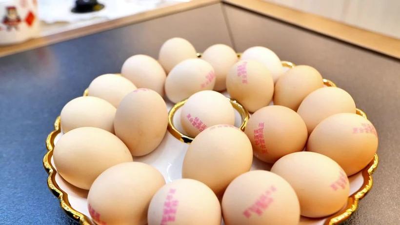 钱蛋蛋鸡蛋游戏截图