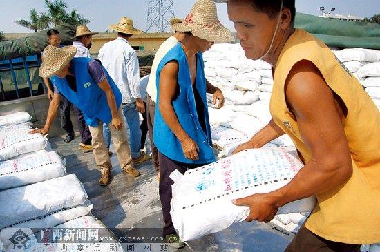 我不是盐神,免费盐选,知乎搬运工游戏截图
