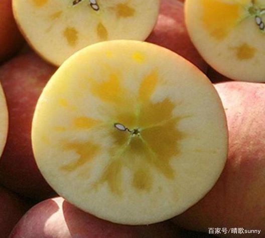 糖心苹果减肥能吃吗缩略图