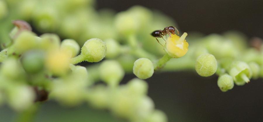 甜瓜游乐场16.0虫虫汉化版缩略图
