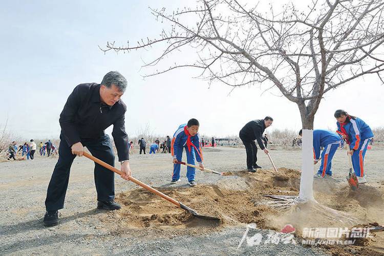 广西领导植树游戏截图
