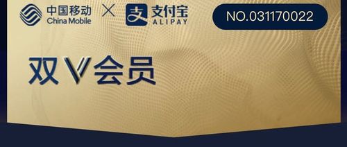 双v会员收费标准缩略图