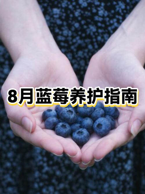 肺结节吃蓝莓好吗缩略图