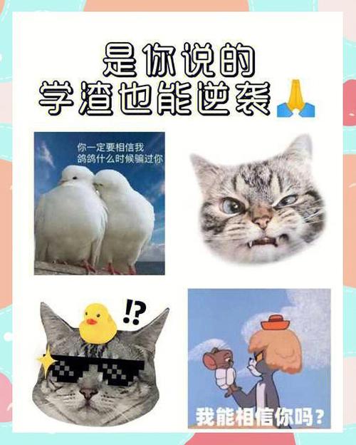 期末通关答案游戏截图