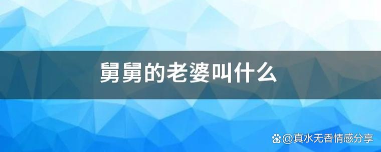 舅舅的老婆图标