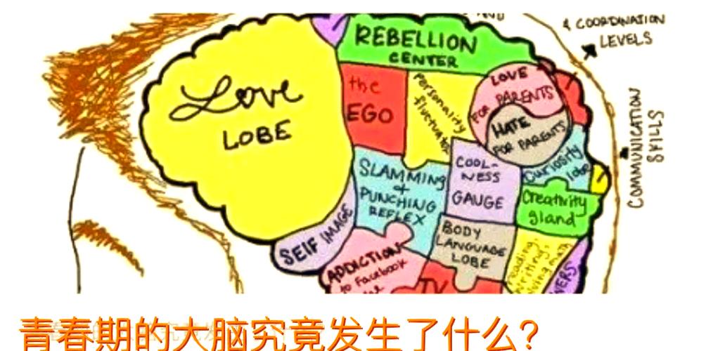 疯狂大脑图标