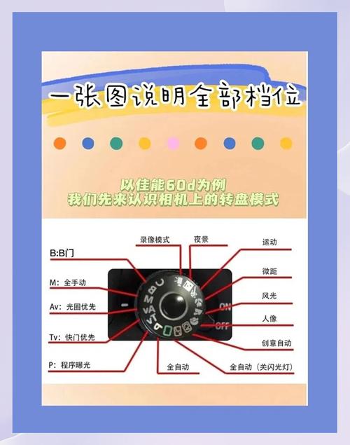佳能60d入门使用教程视频游戏截图