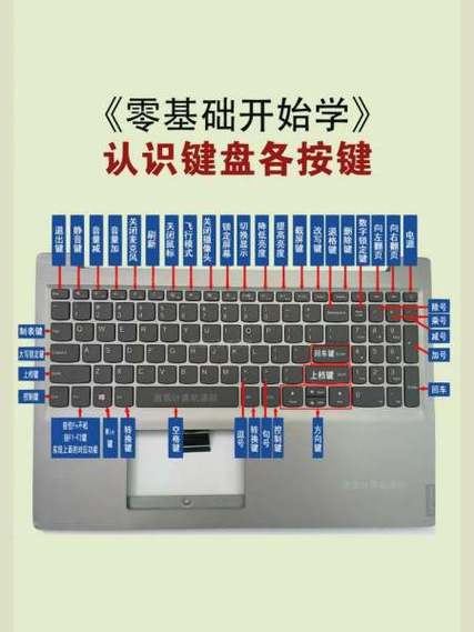 键盘的使用