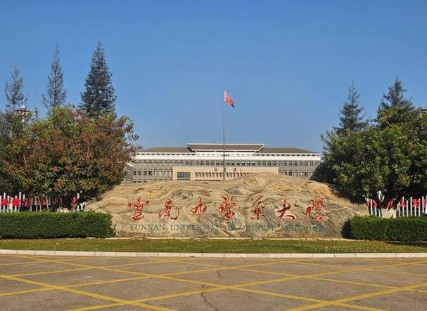 云南省招生考试院游戏截图