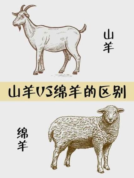 养山羊利润高还是绵羊利润好游戏截图