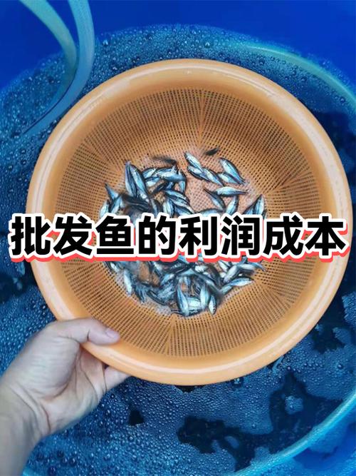 养什么鱼赚钱利润高游戏截图