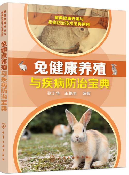 肉兔养殖技术缩略图