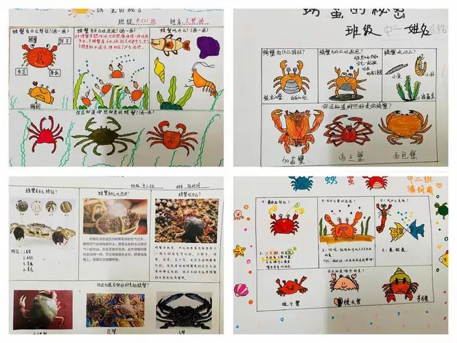 螃蟹8条腿还是10条腿游戏截图