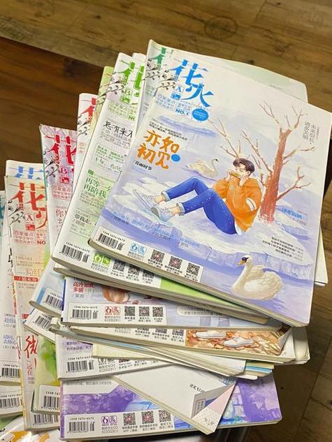 花火书籍为什么便宜游戏截图