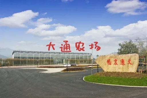 农场区块宝缩略图