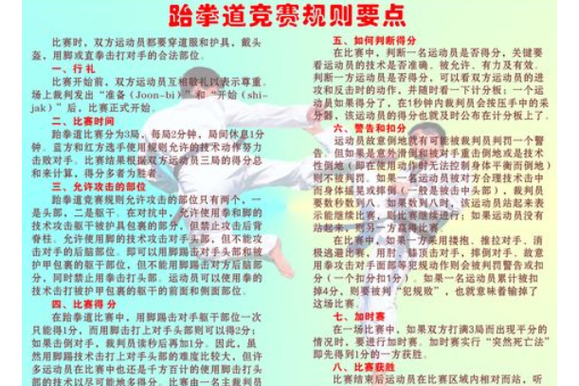 跆拳道裁判证查询游戏截图
