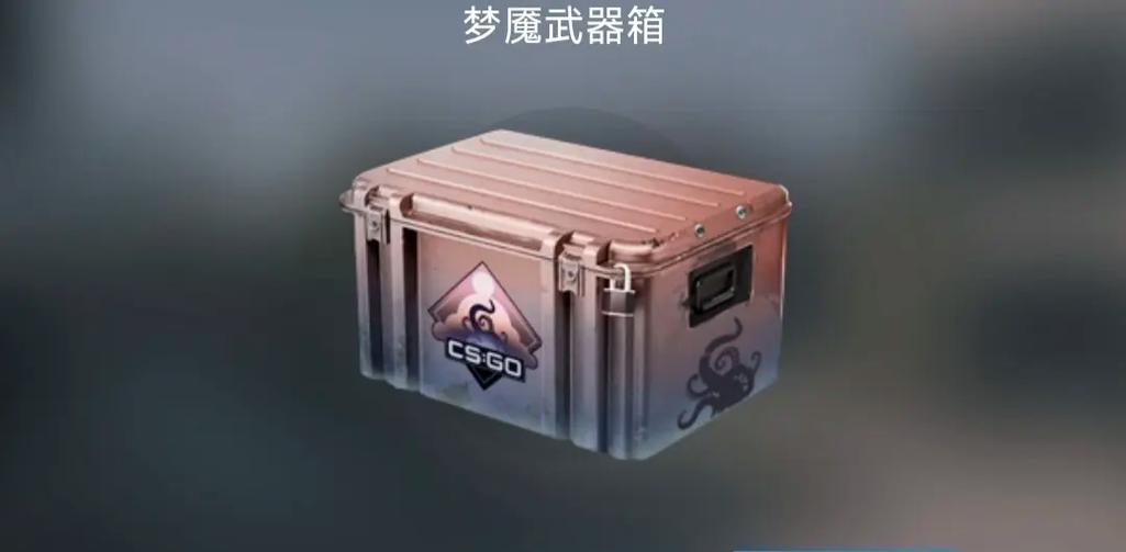 csgo的箱子多少钱一个游戏截图