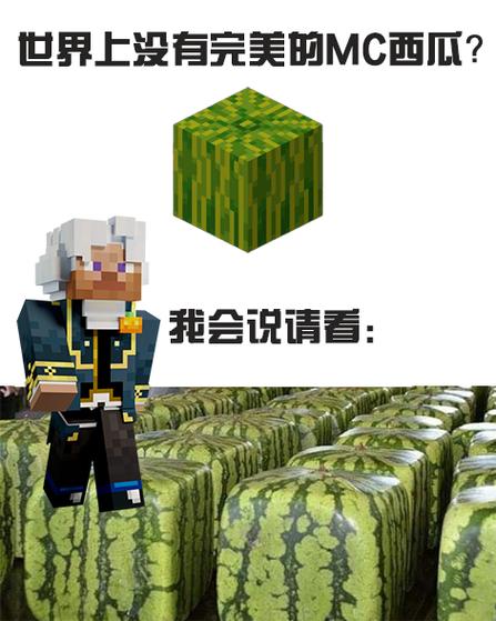 我的世界有谁懂的说说缩略图