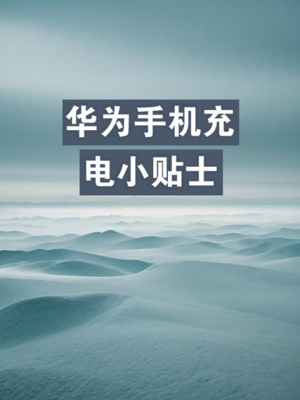 华为手机充电断断续续缩略图