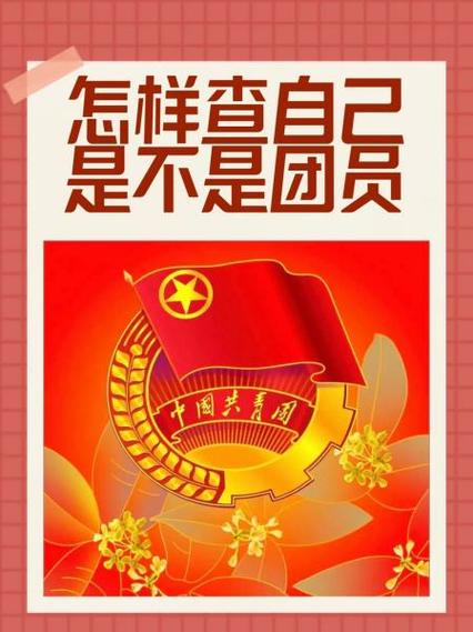 怎么查看自己是不是团员缩略图