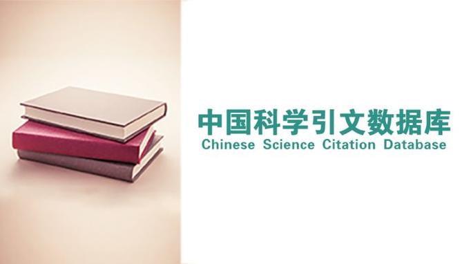 中国文献数据库缩略图