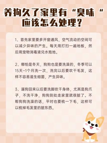 臭气弹的味道怎么去除缩略图