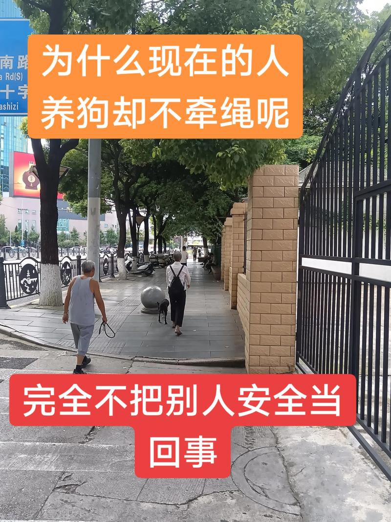 对付遛狗不牵绳的人绝招缩略图