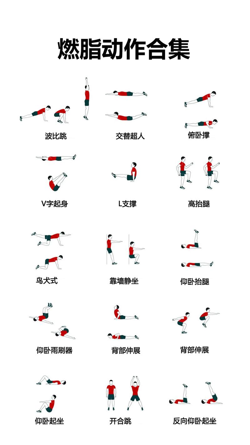 减脂运动全身燃脂缩略图