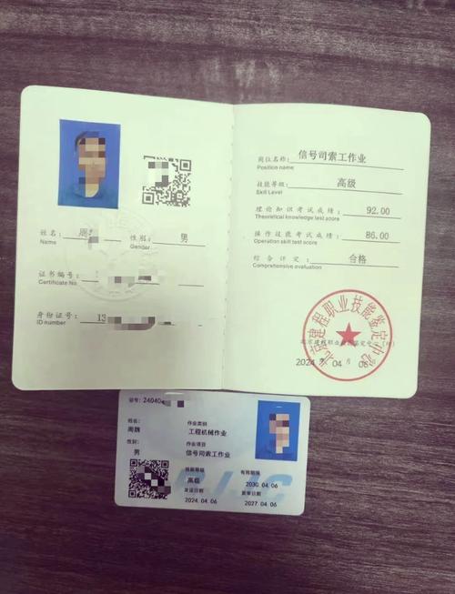 司索工证书查询入口游戏截图
