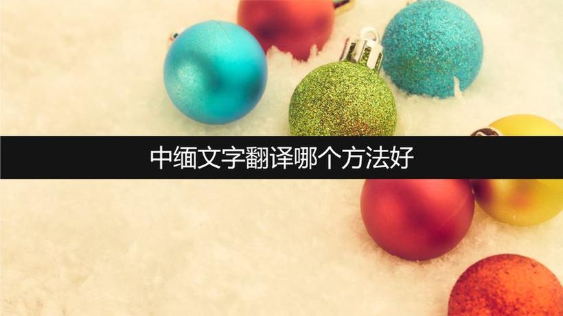 中缅语音翻译软件免费下载缩略图
