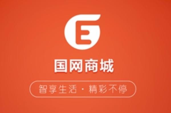 国网商城缩略图