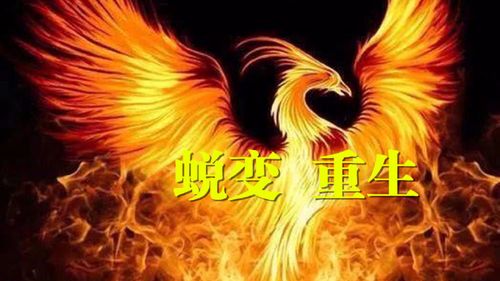 oppo手机相册彻底删除了怎么恢复缩略图