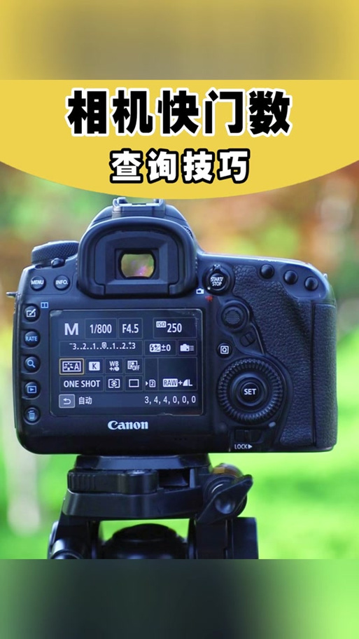 佳能70d在哪里调快门缩略图