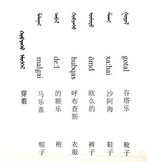 蒙古国语翻译器在线翻译游戏截图