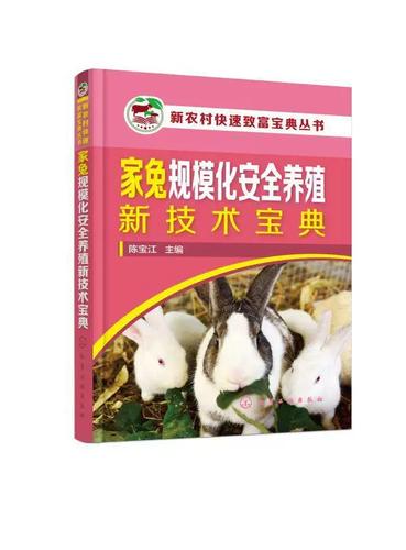 家兔养殖兔舍建造图缩略图