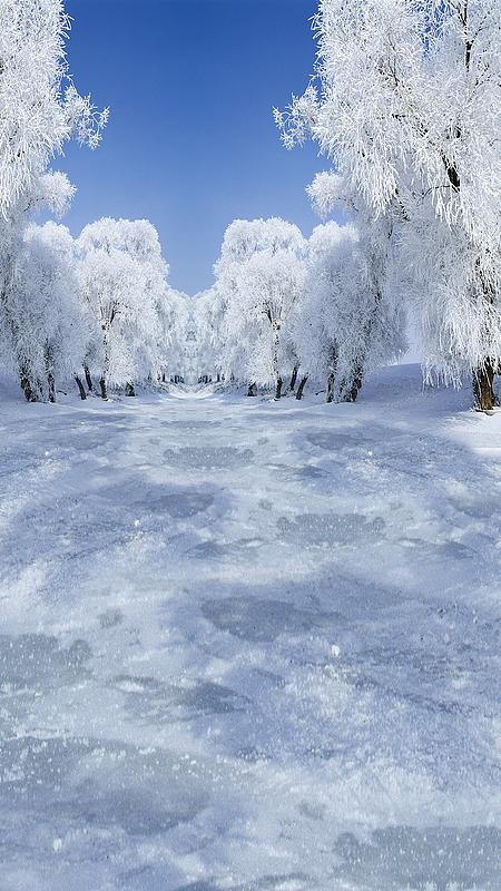 雪景图片大全高清图片缩略图