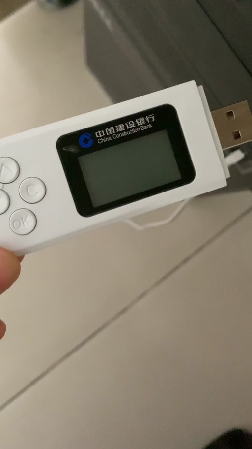 对公账户u盾初始密码游戏截图