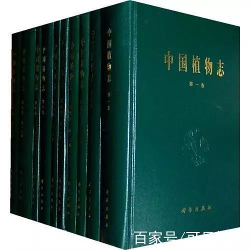 银杏阅读短文及答案缩略图