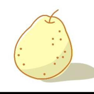 pear88雪梨缩略图
