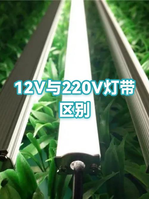 12v灯带和220v优缺点缩略图